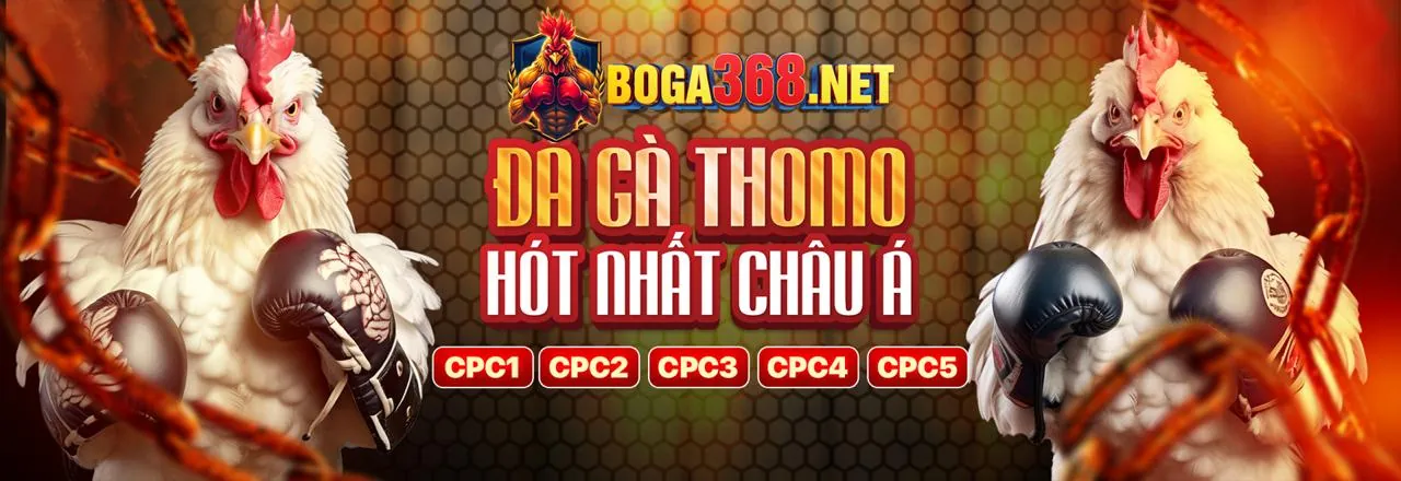Đá gà trực tuyến sôi động tại m xin88 casino